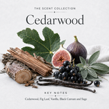 CEDARWOOD Scented Laundry Detergent