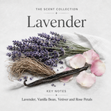 LAVENDER Scented Laundry Detergent